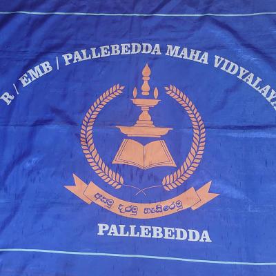 School flag and Logo